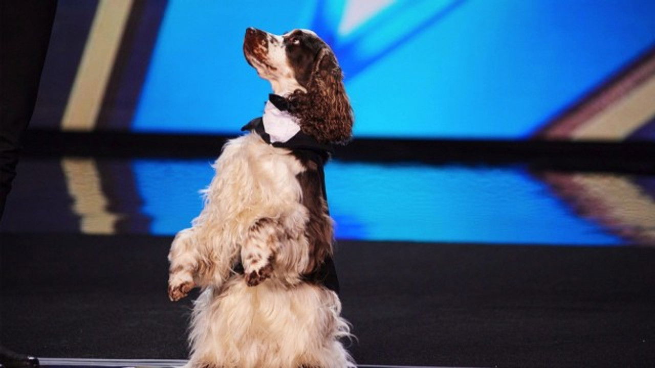 Britain's Got Talent — Épisode 4