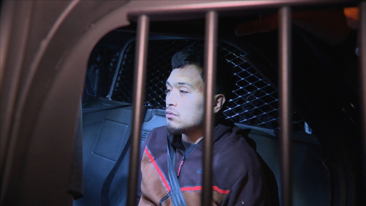 Cops - Season 37 Episode 35 : Flee Finder