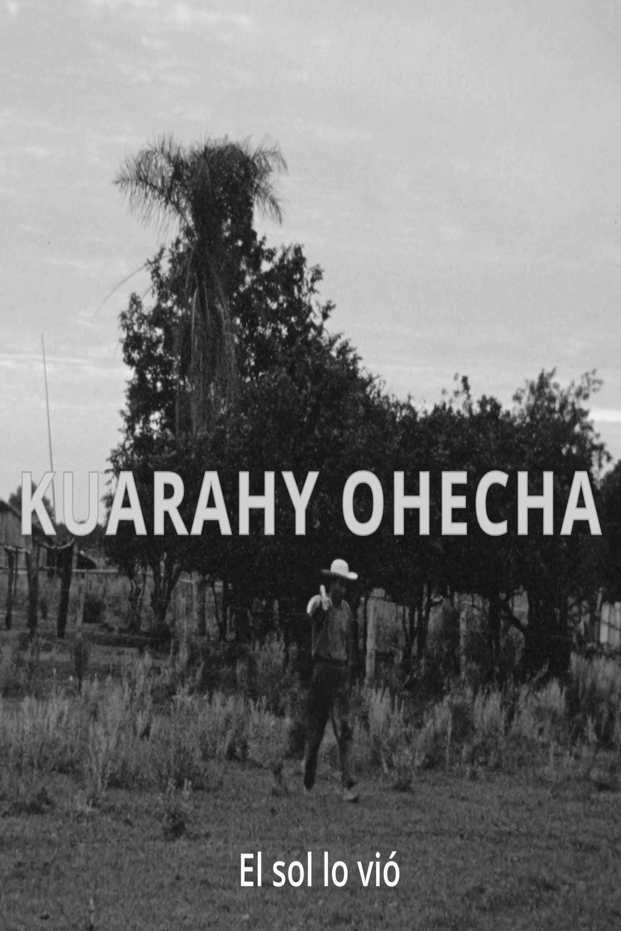 Cuarahy Ohecha