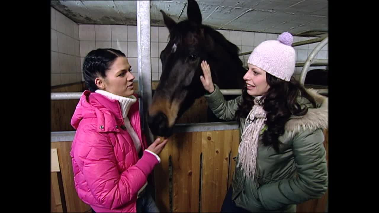 Bauer sucht Frau — Épisode 1