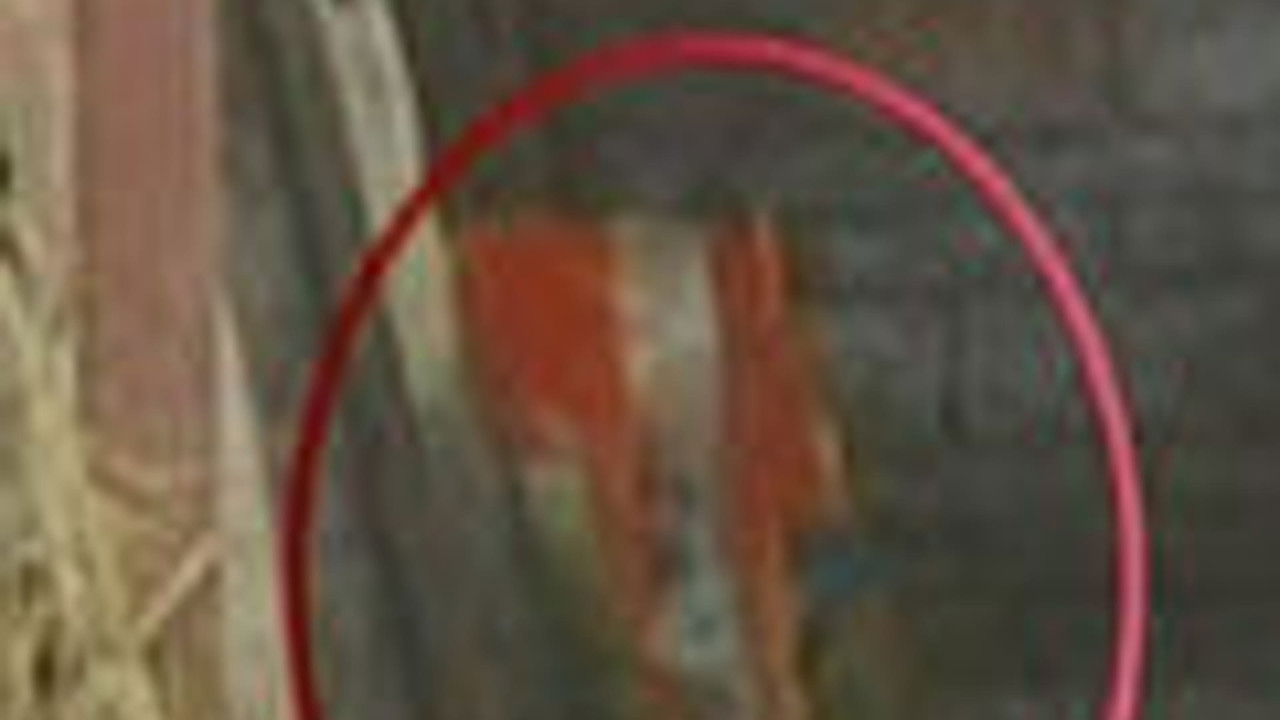 传奇故事 — Épisode 79