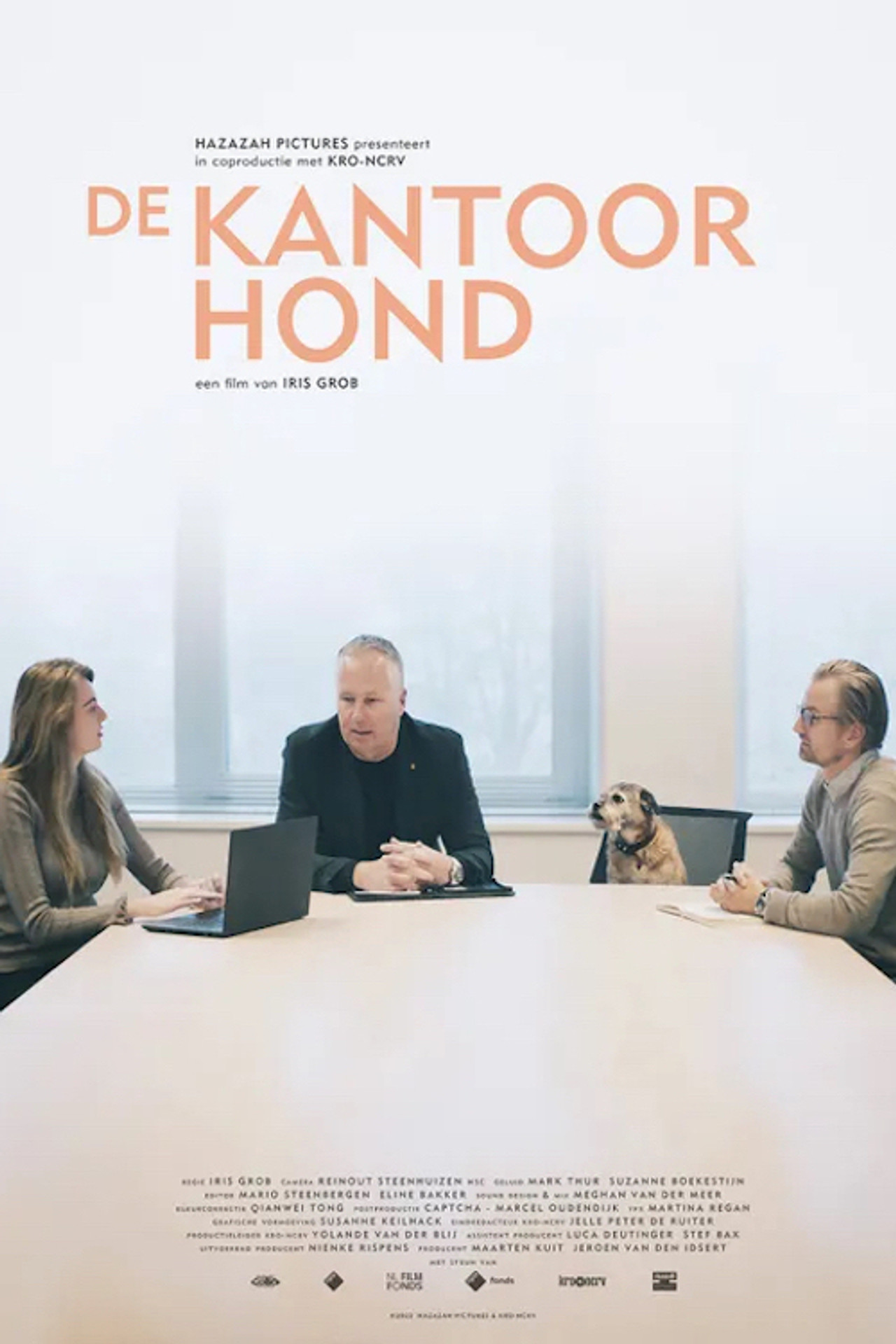 De kantoorhond