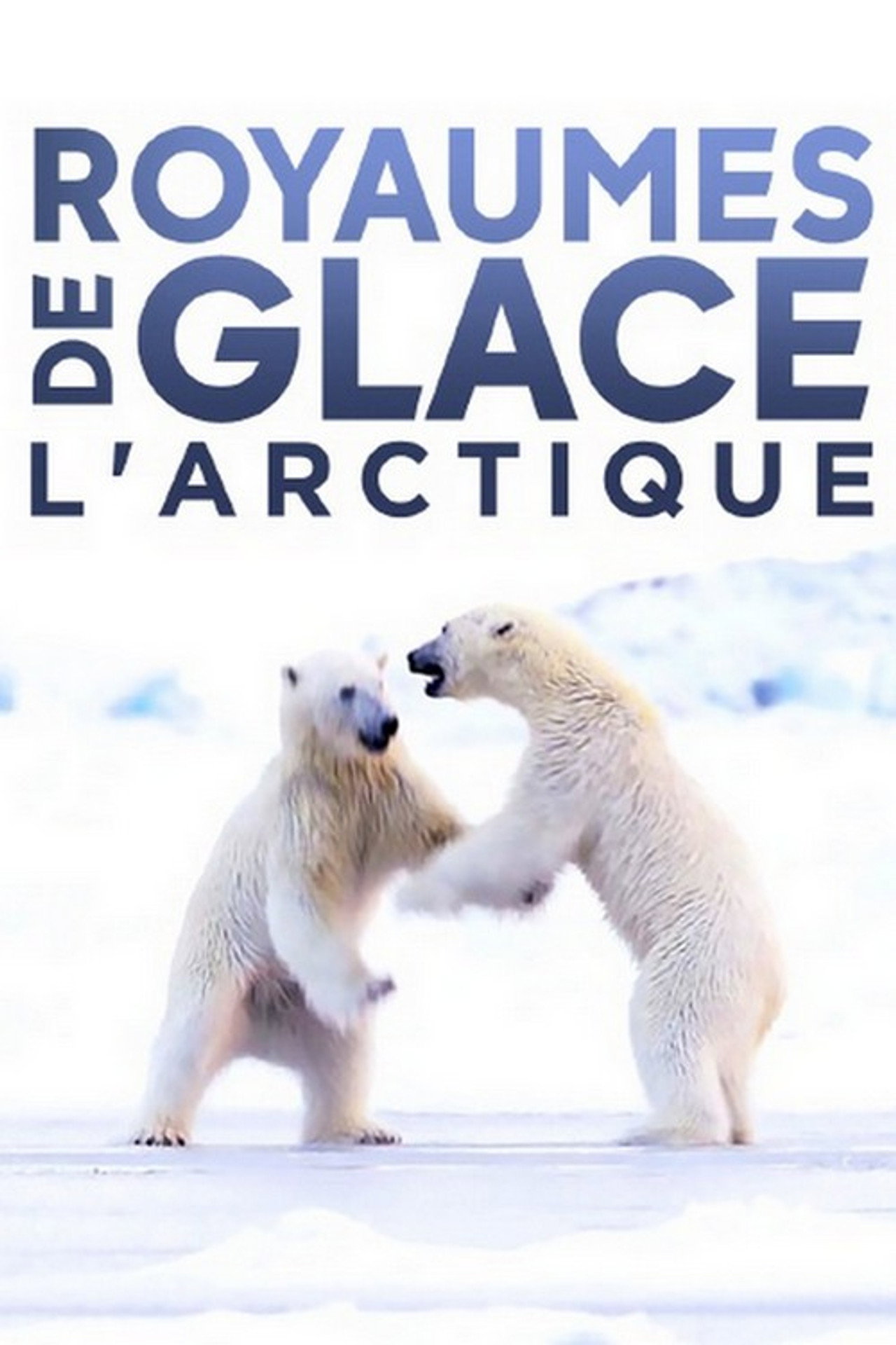 Royaumes De Glace, L'Arctique filmaffisch