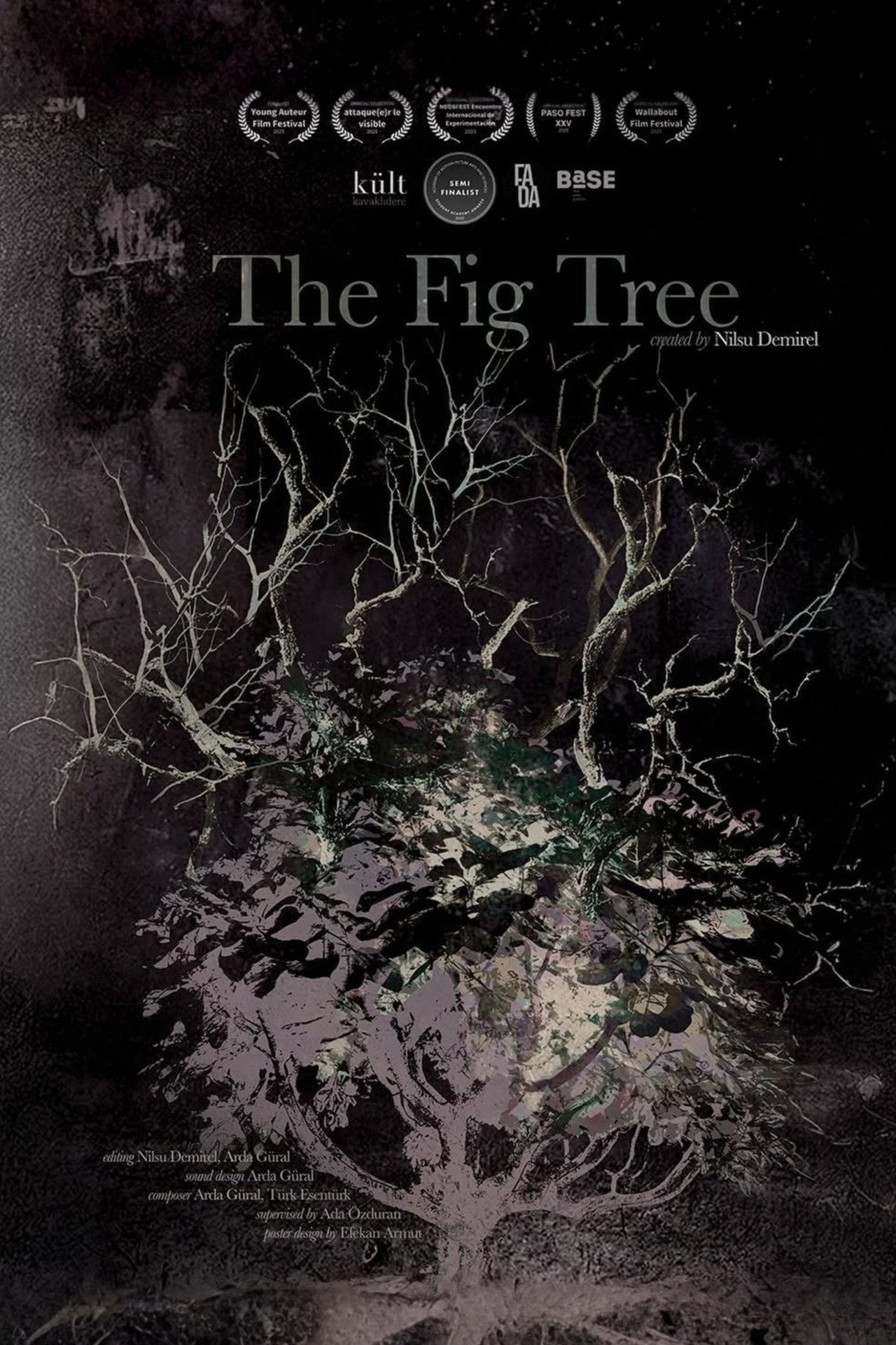 The Fig Tree poster