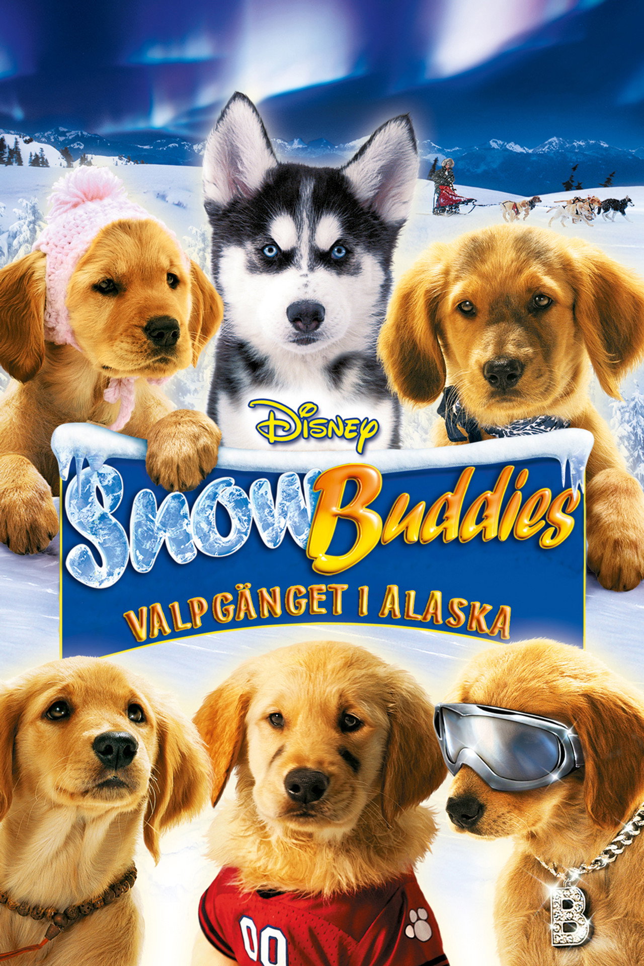 Snow Buddies: Valpgänget i Alaska filmaffisch