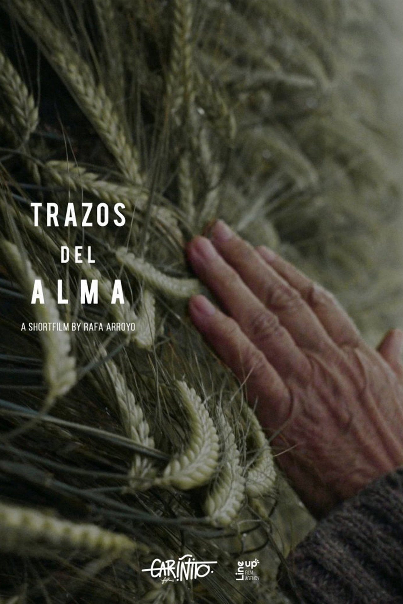 Trazos del alma filmaffisch