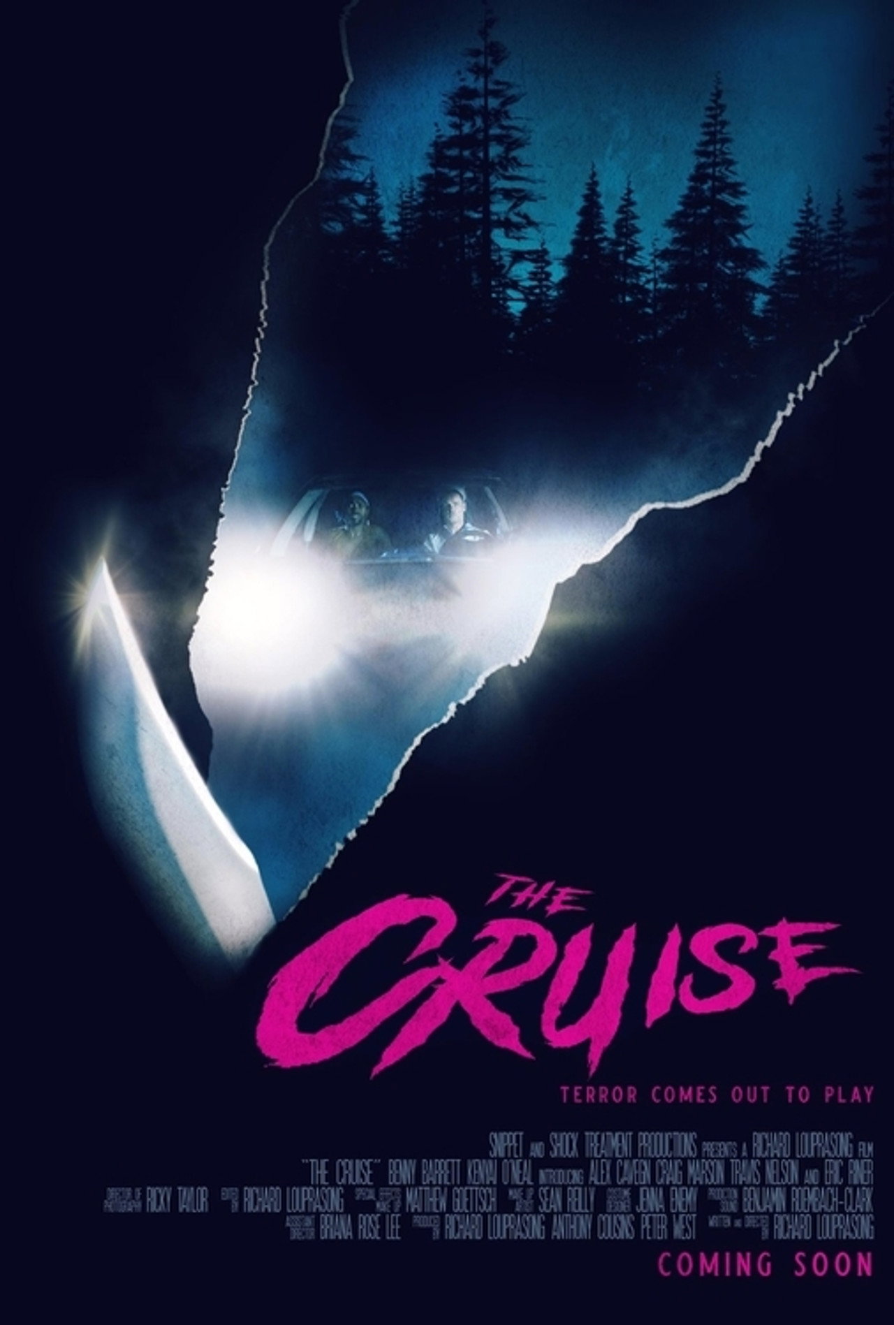 The Cruise filmaffisch