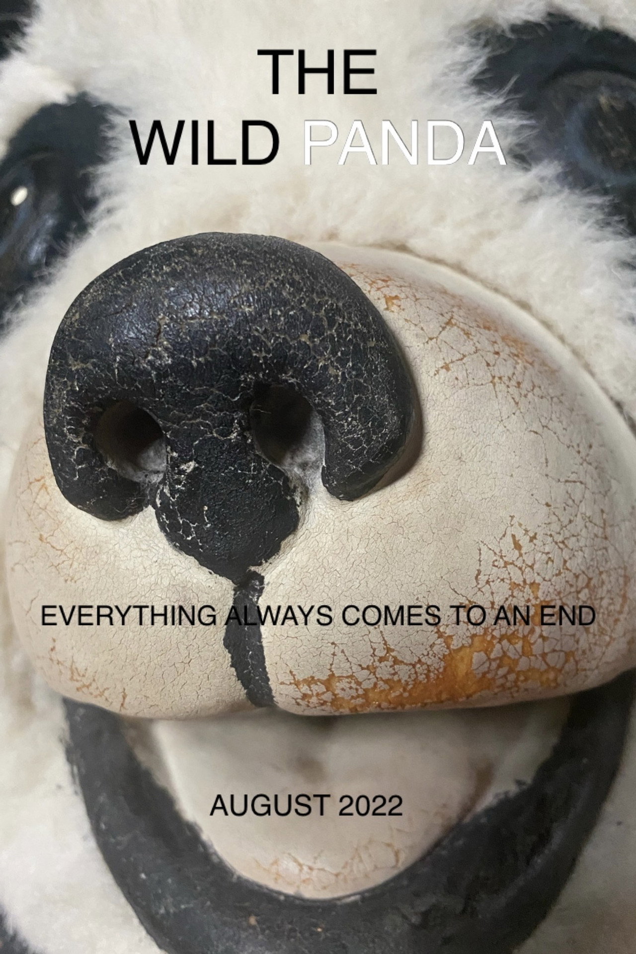 The Wild Panda filmaffisch