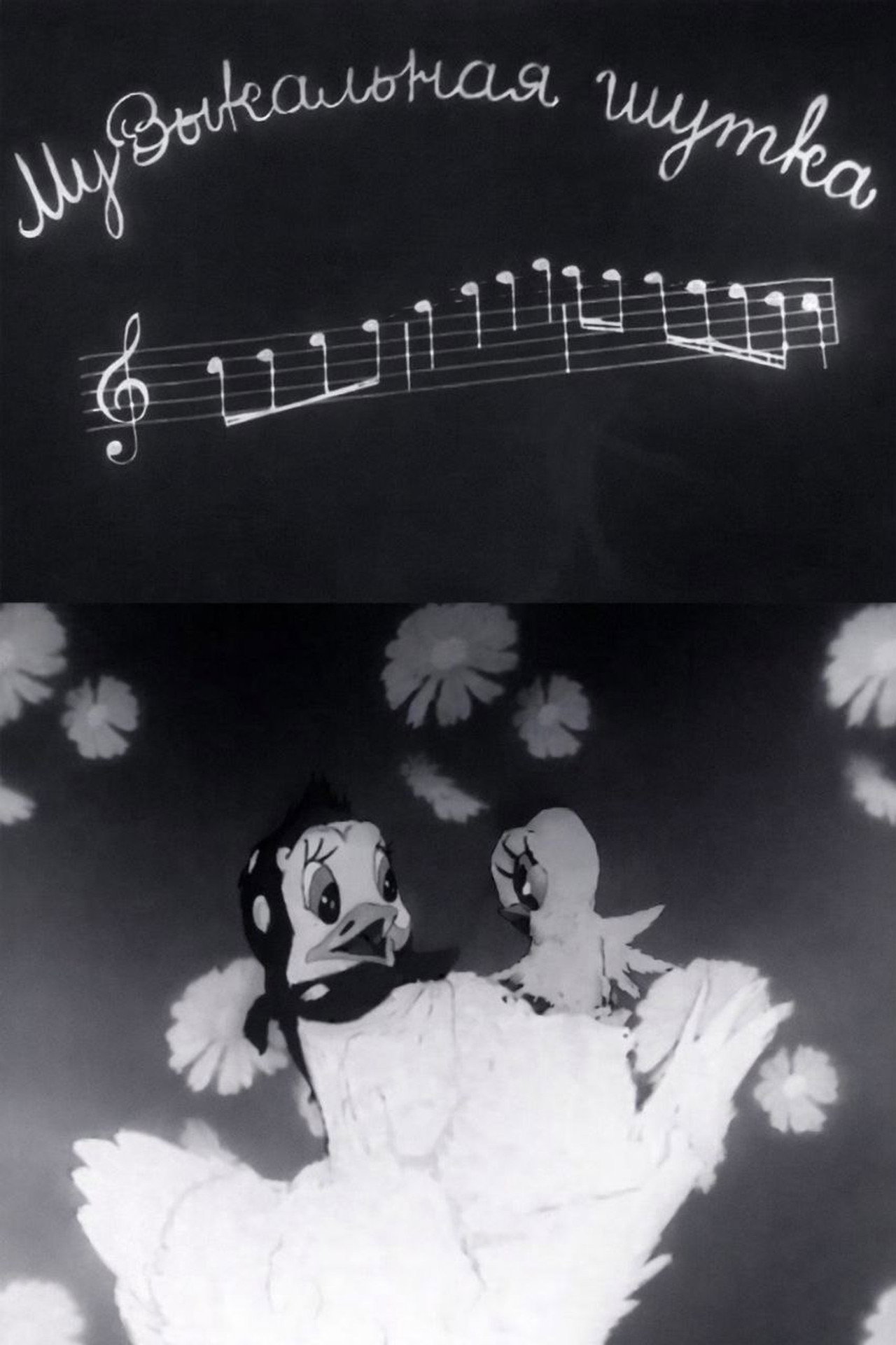 Musical Joke Backdrop