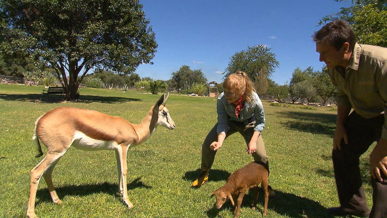 Paula und die wilden Tiere — Épisode 10