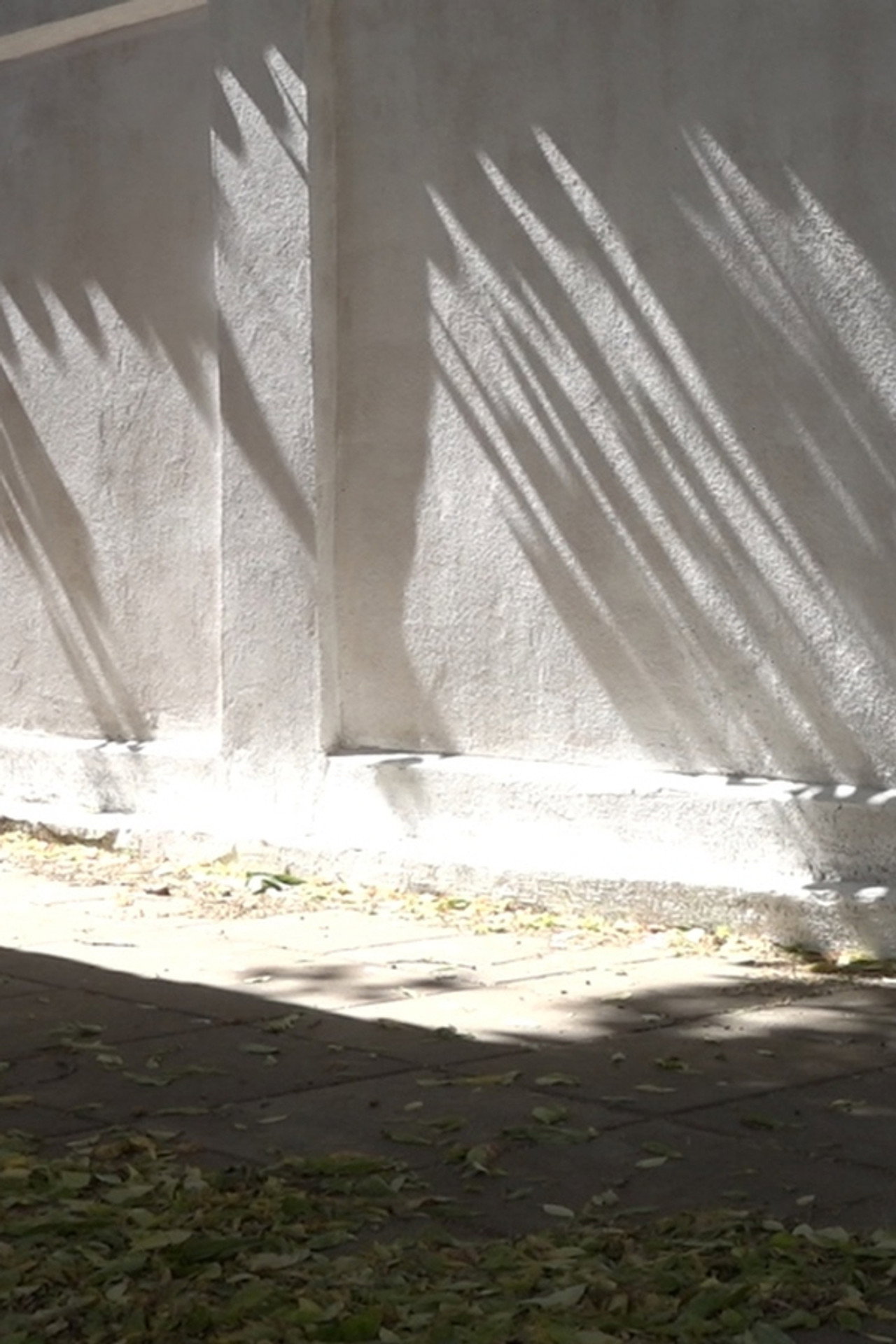 Elefant departe filmaffisch