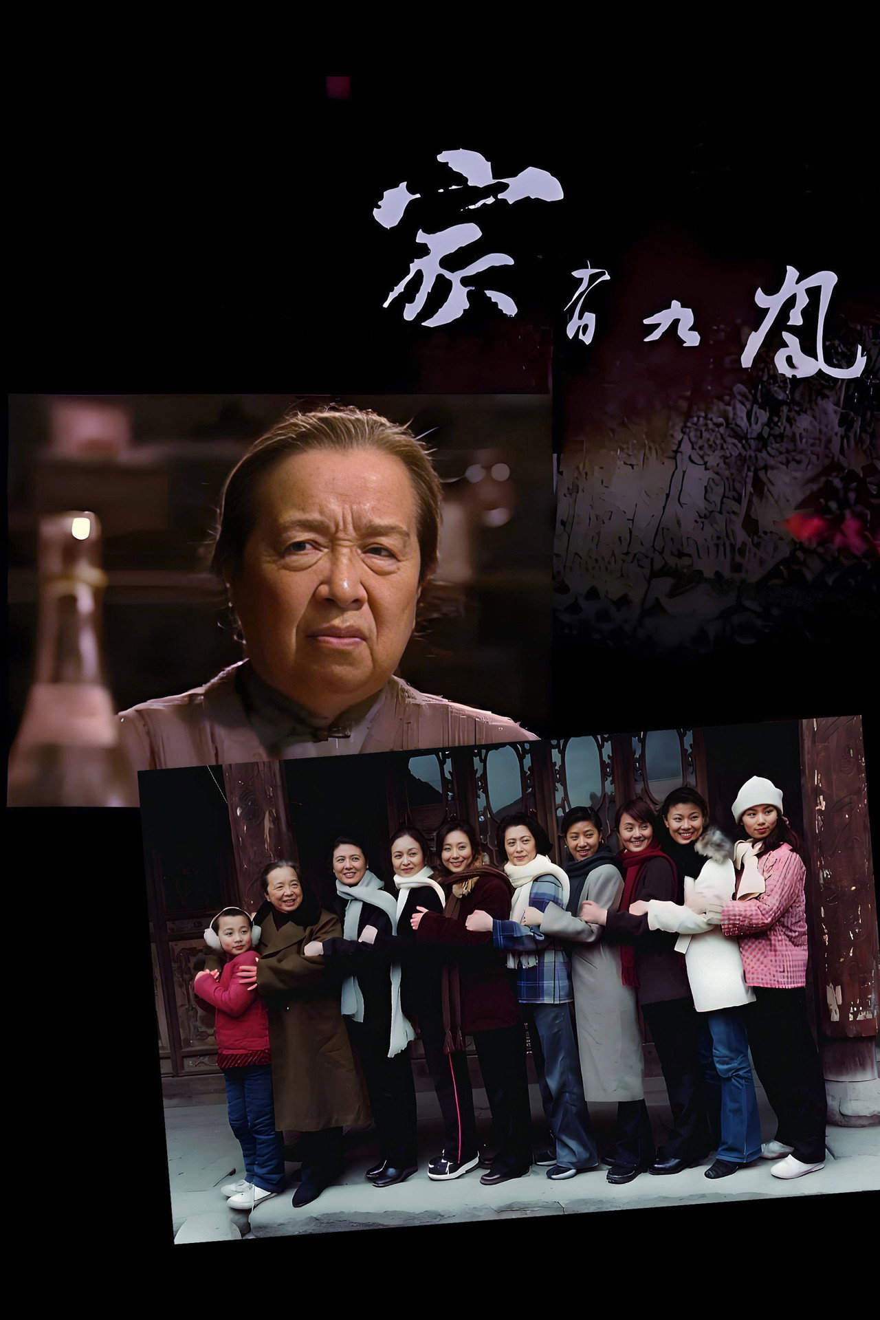 家有九凤 affisch