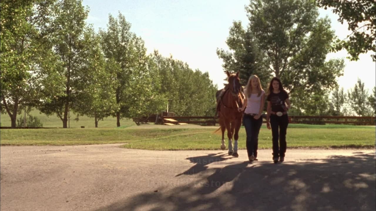 Heartland - Season 2 Episode 7 : Sweetheart of the Rodeo