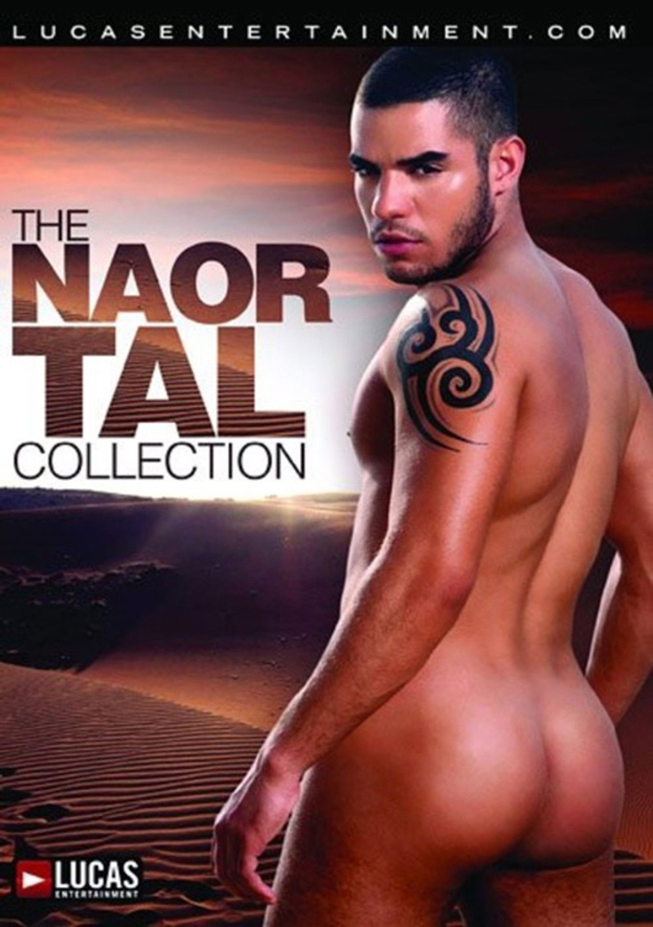 The Naor Tal Collection Backdrop