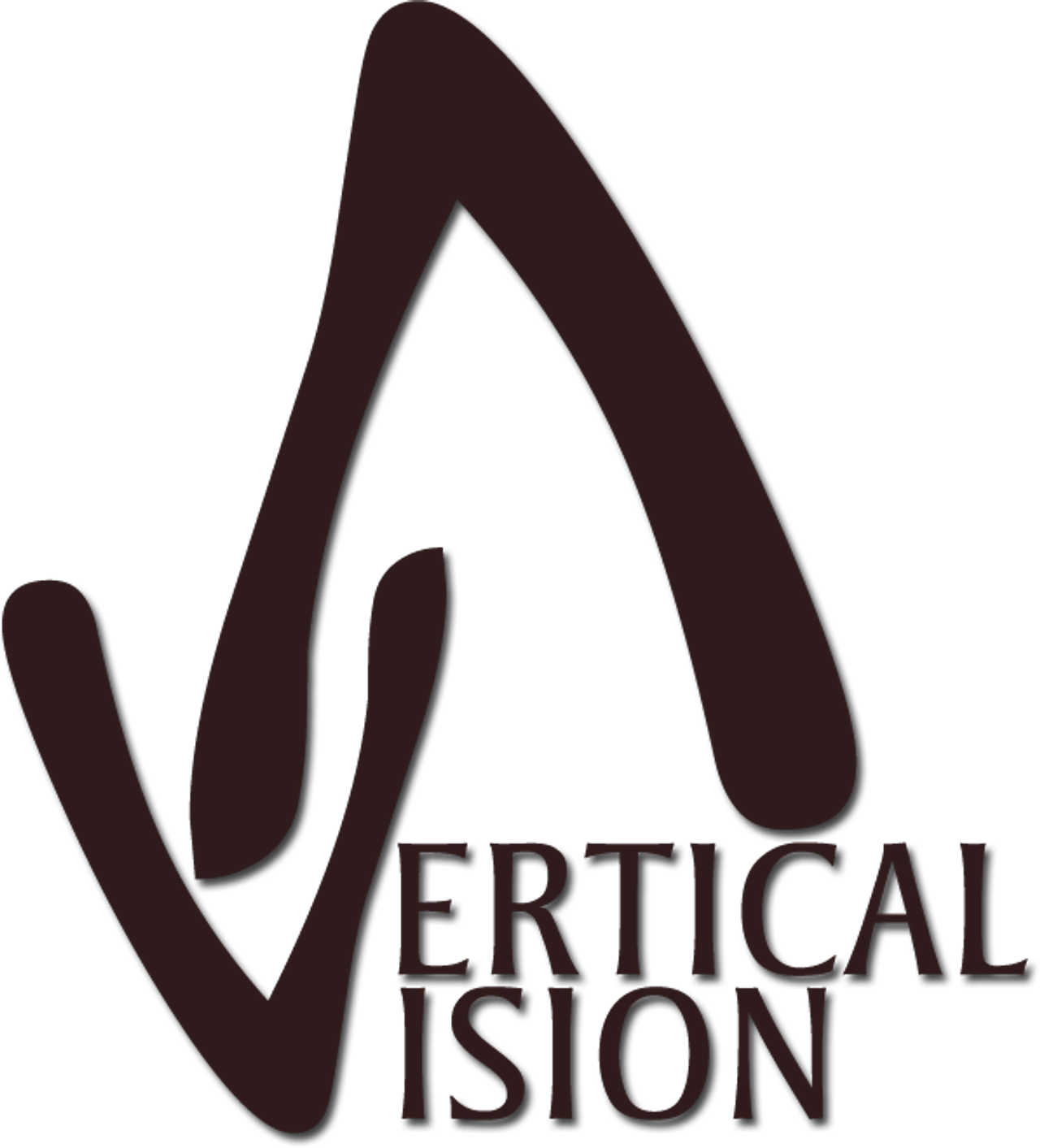 Vertical Vision Film Studio