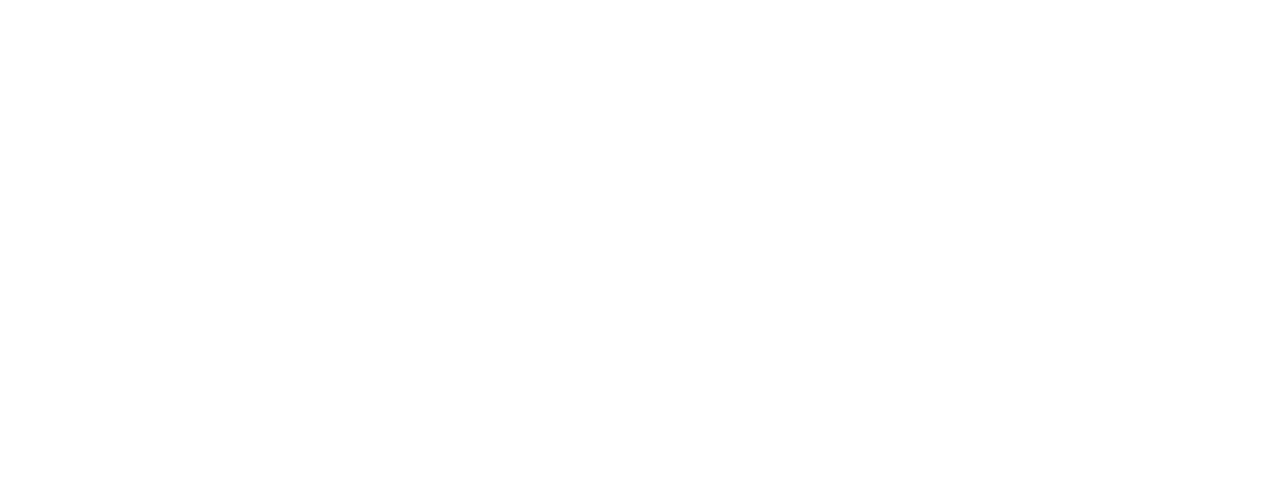 Чёрная Молния