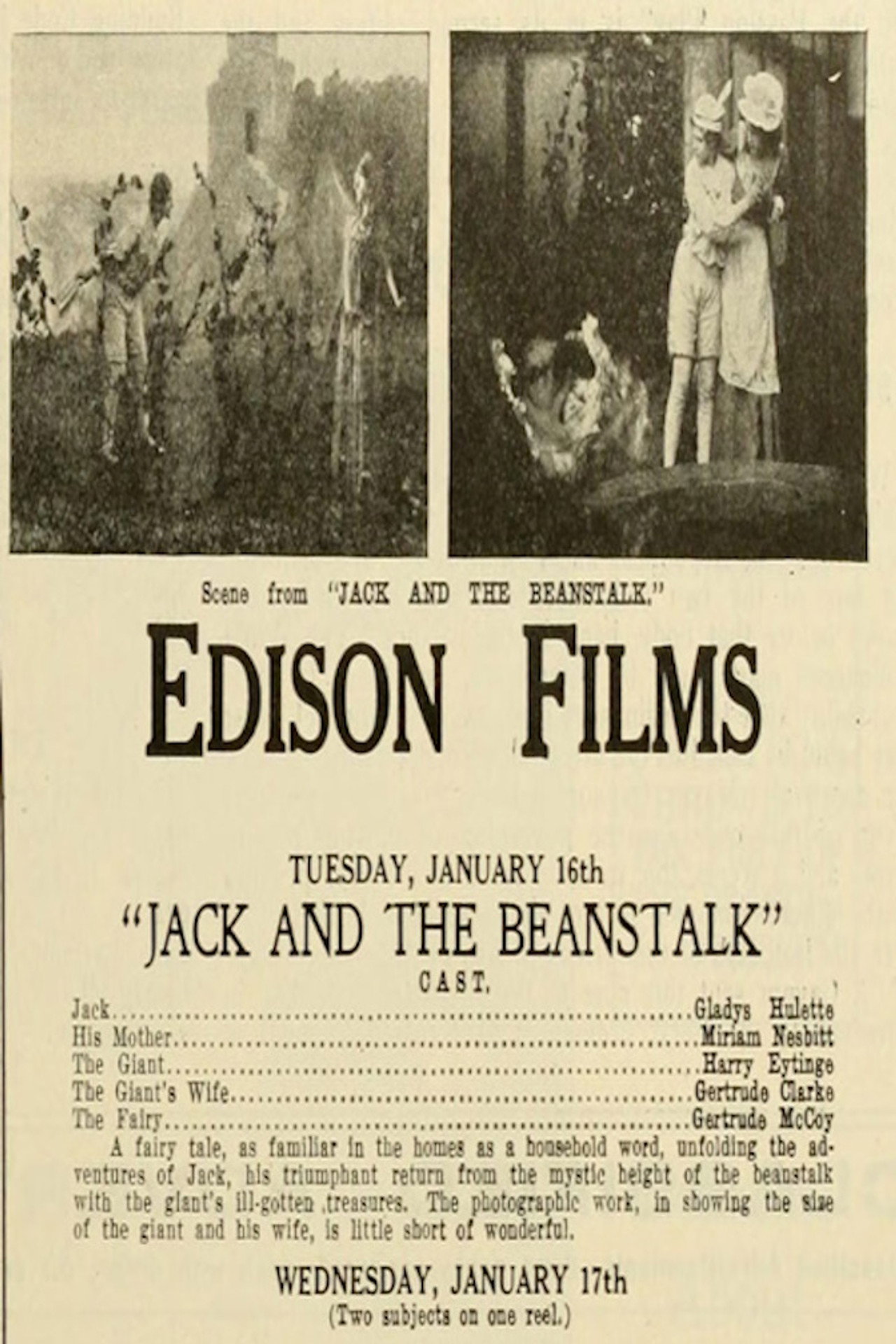 Jack and the Beanstalk Backdrop