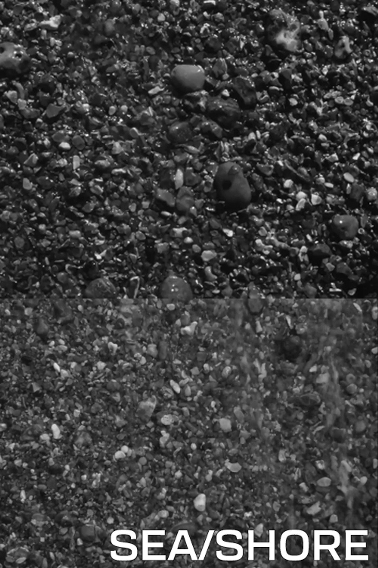 Sea/Shore filmaffisch