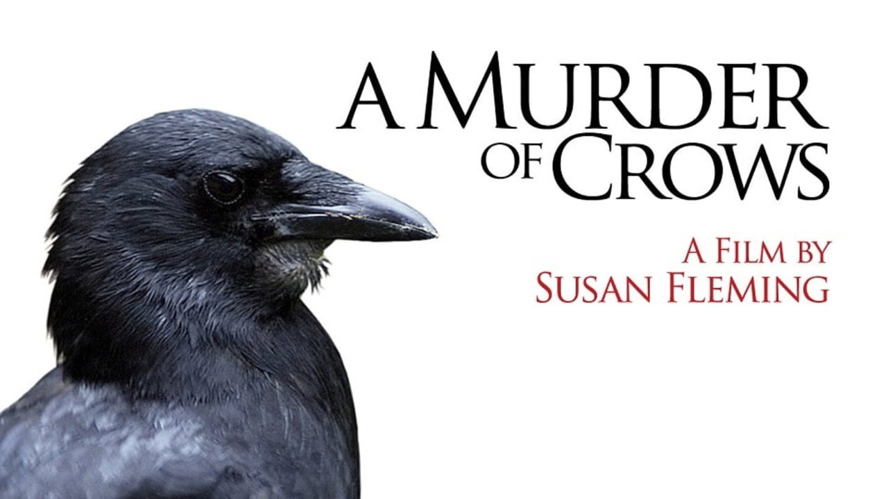 A Murder of Crows backdrop