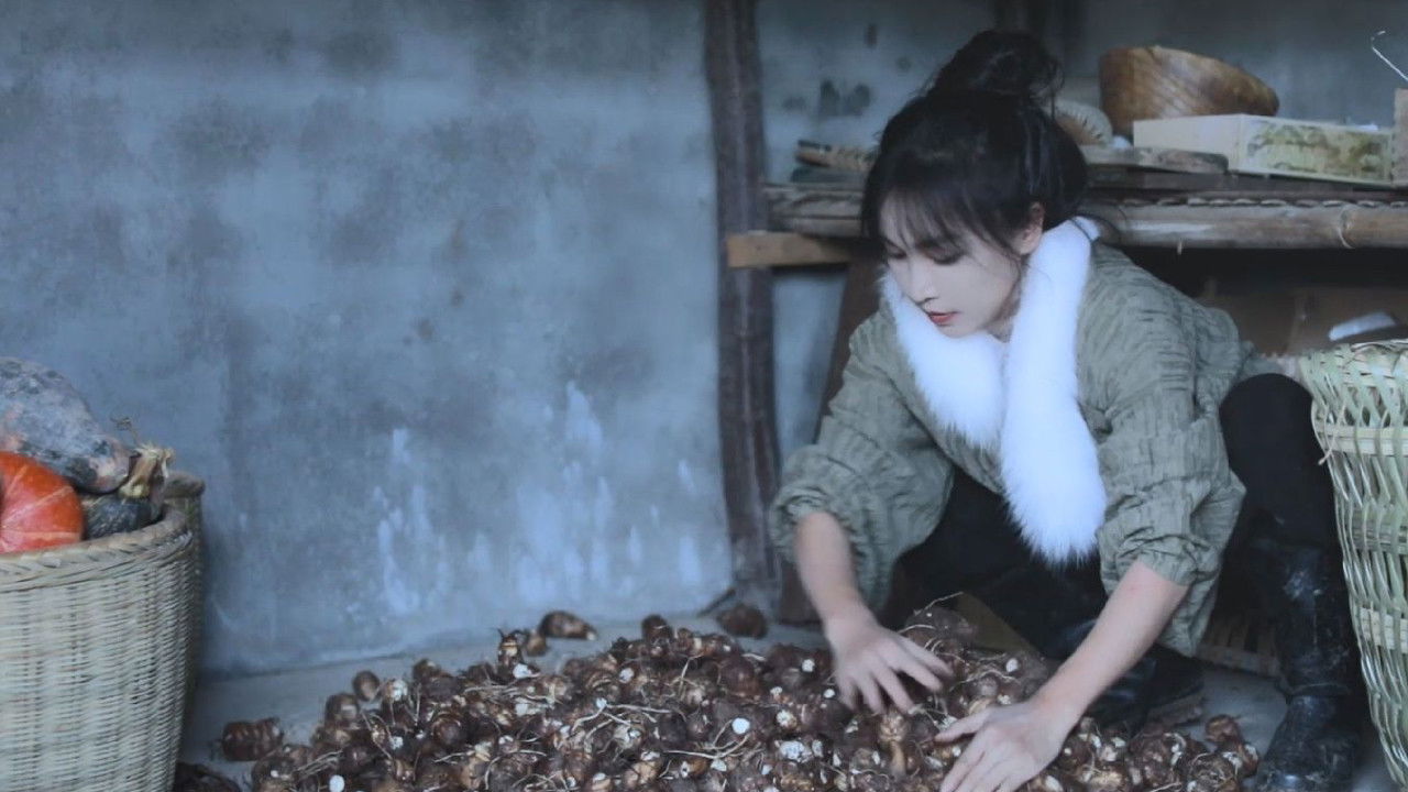 李子柒全集 — Épisode 3