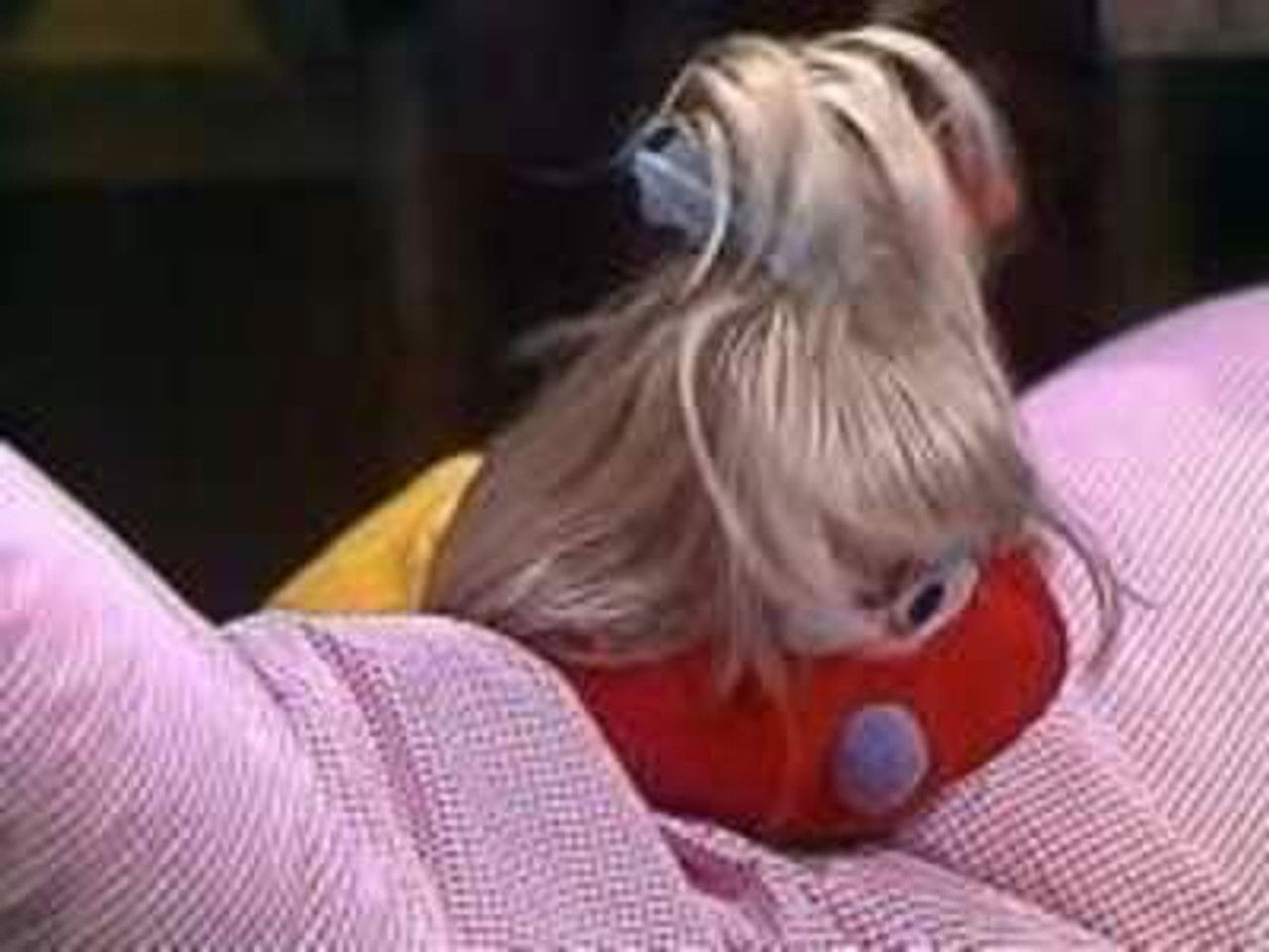 Hallo Spencer — Épisode 9