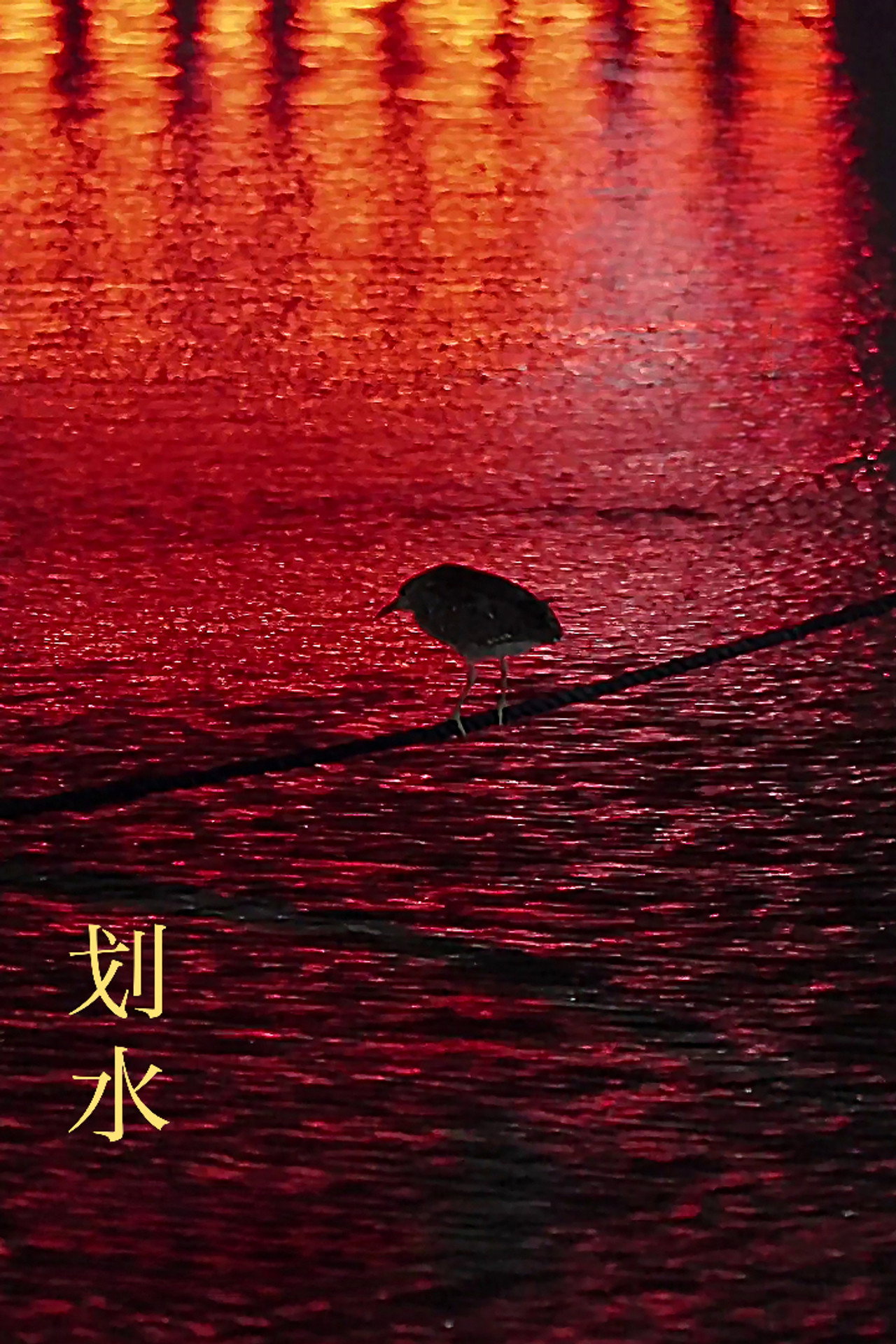 划水 filmaffisch