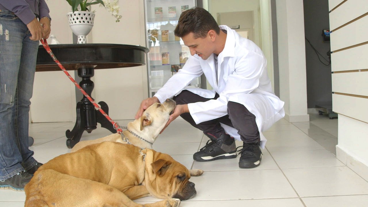 Cidade dos Cães