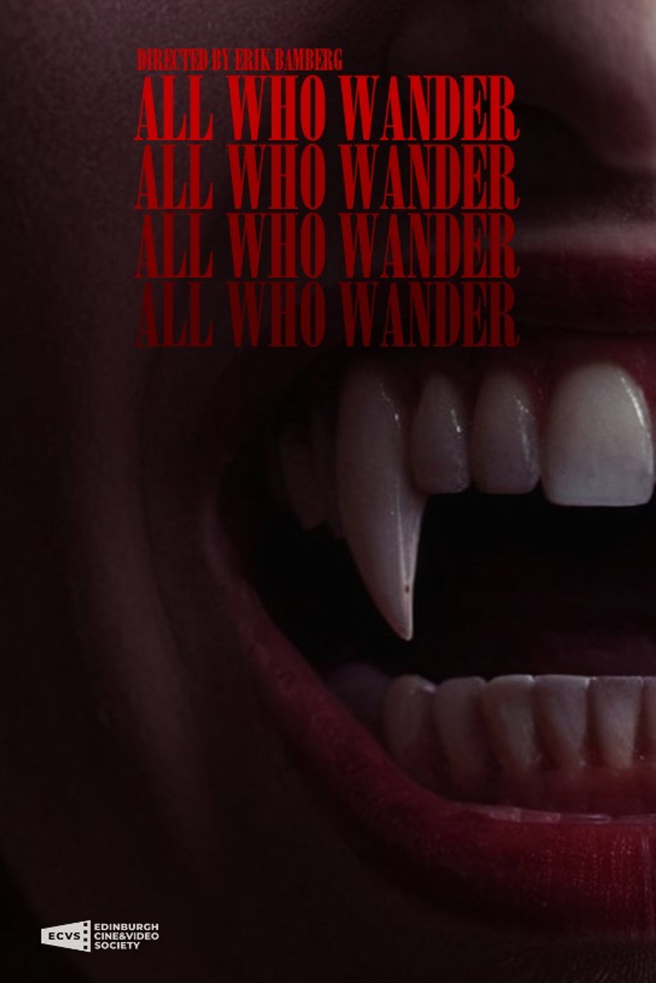 All Who Wander Backdrop
