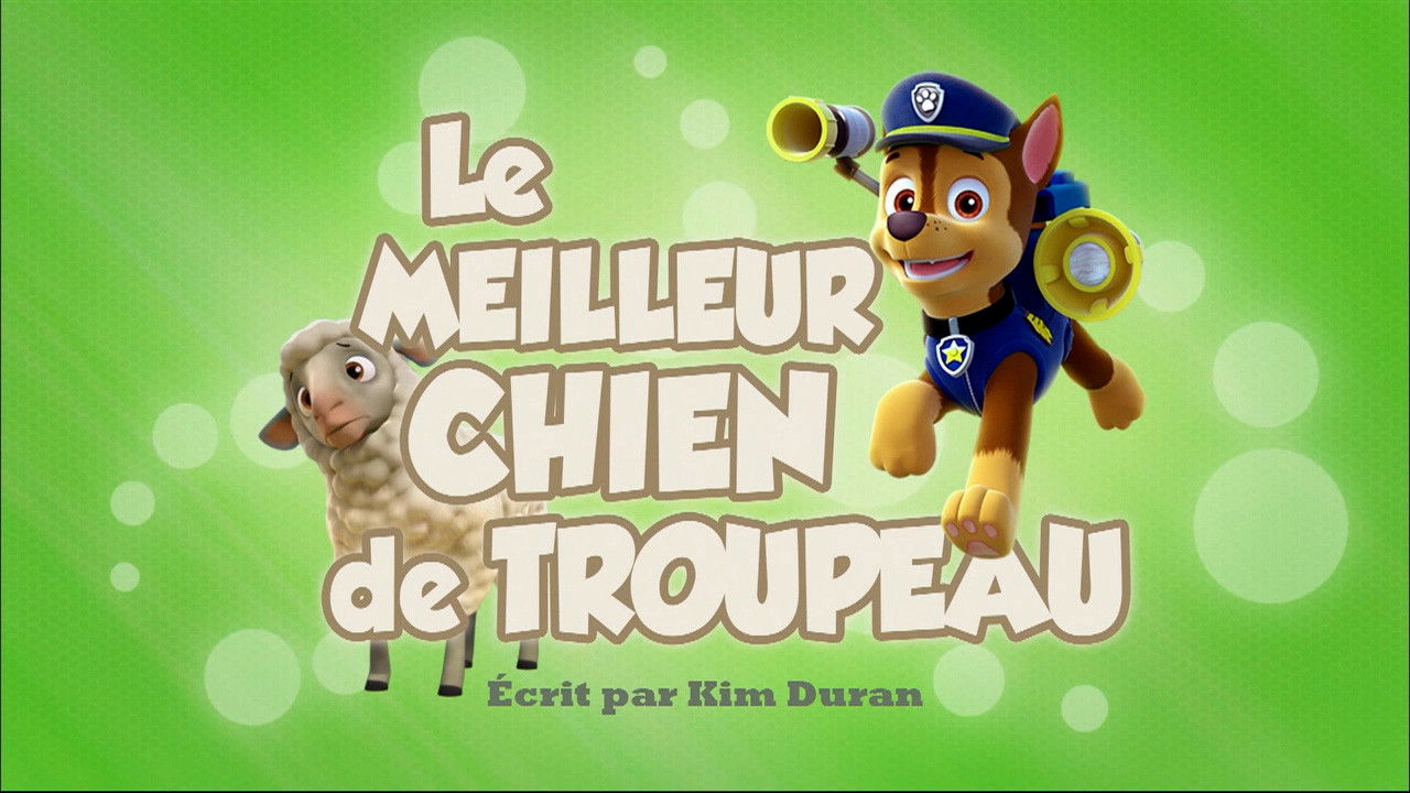 La Pat' Patrouille — Le Meilleur Chien de troupeau