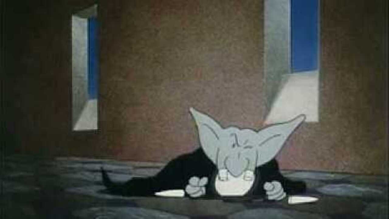 الحلقة 15