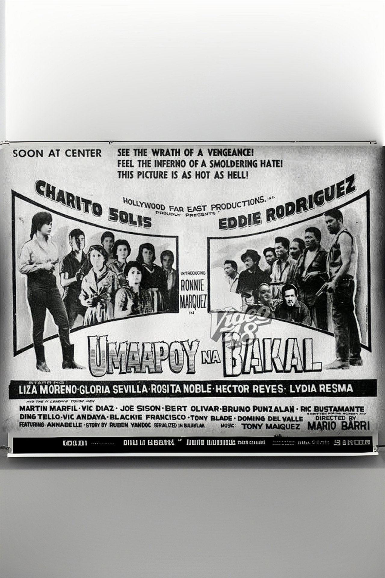 Umaapoy na Bakal
