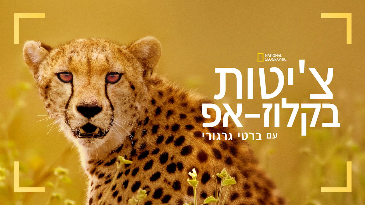 Cheetahs Up Close with Bertie Gregory backdrop