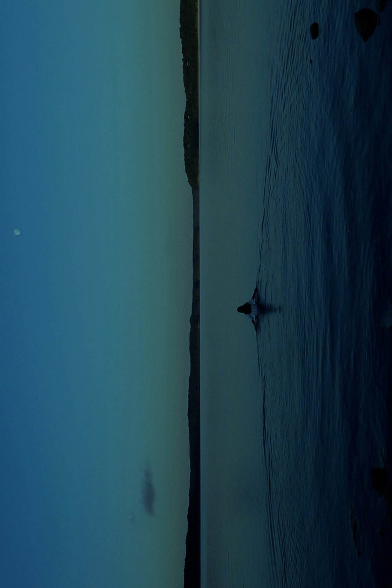 THE WATERS
