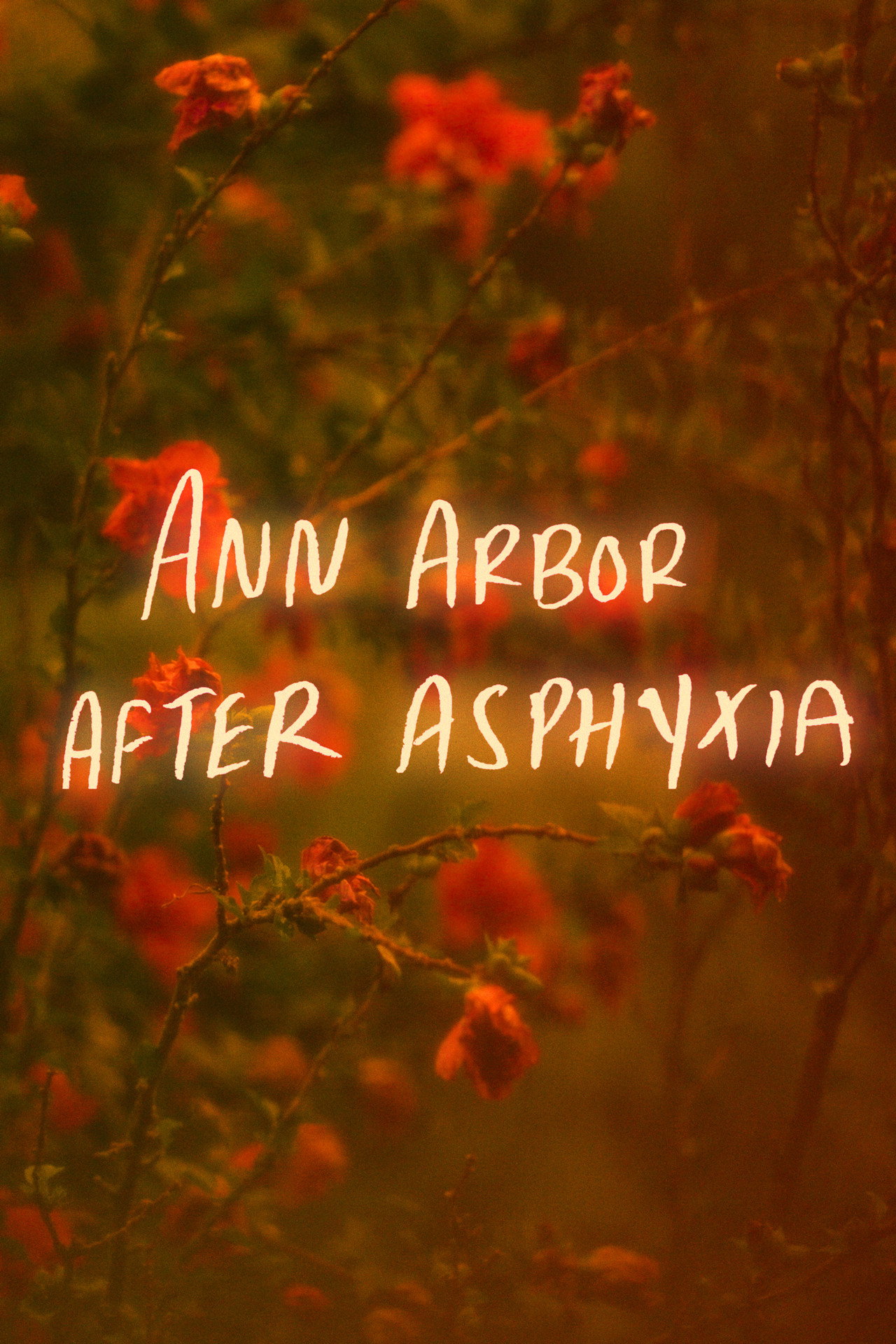 Ann Arbor After Asphyxia filmaffisch