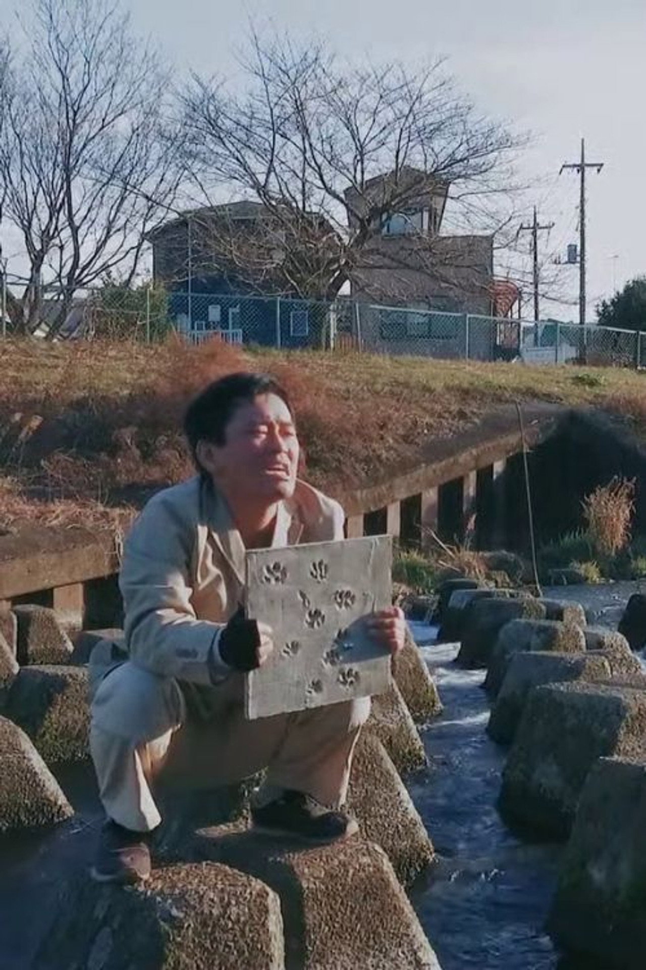 あなたの侵入者 filmaffisch
