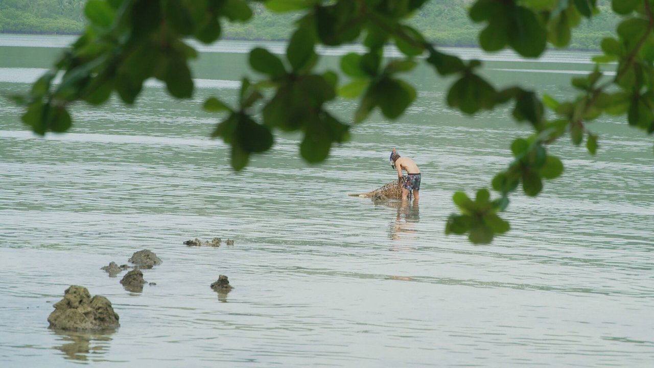 Robinson - Season 24 Episode 20 : Episode 20