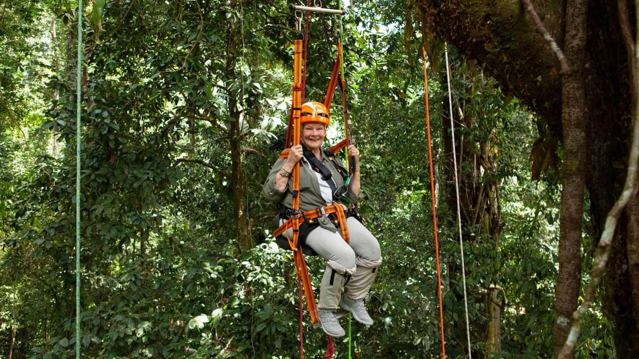 Judi Dench's Wild Borneo Adventure background