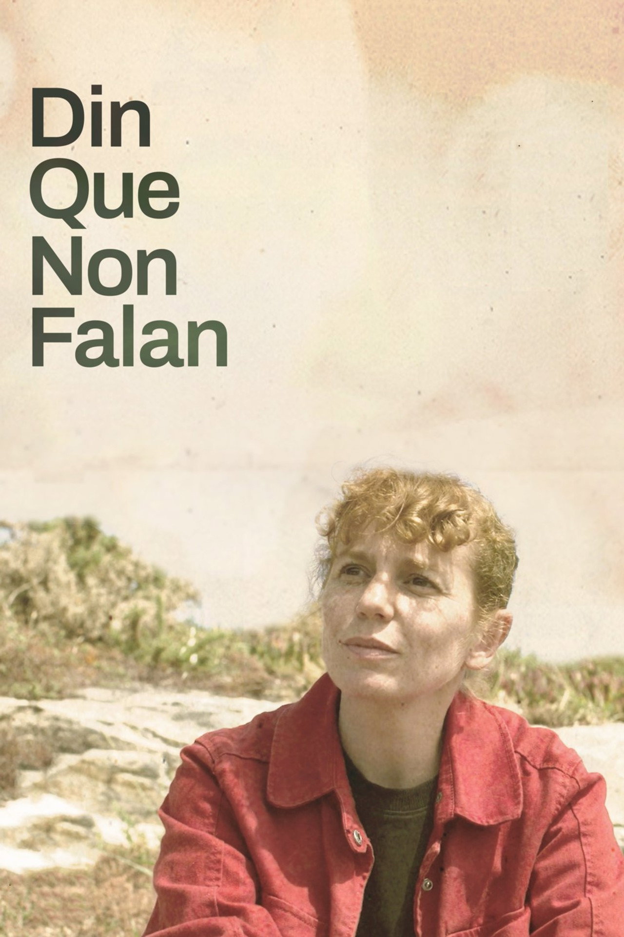 Din que non falan filmaffisch