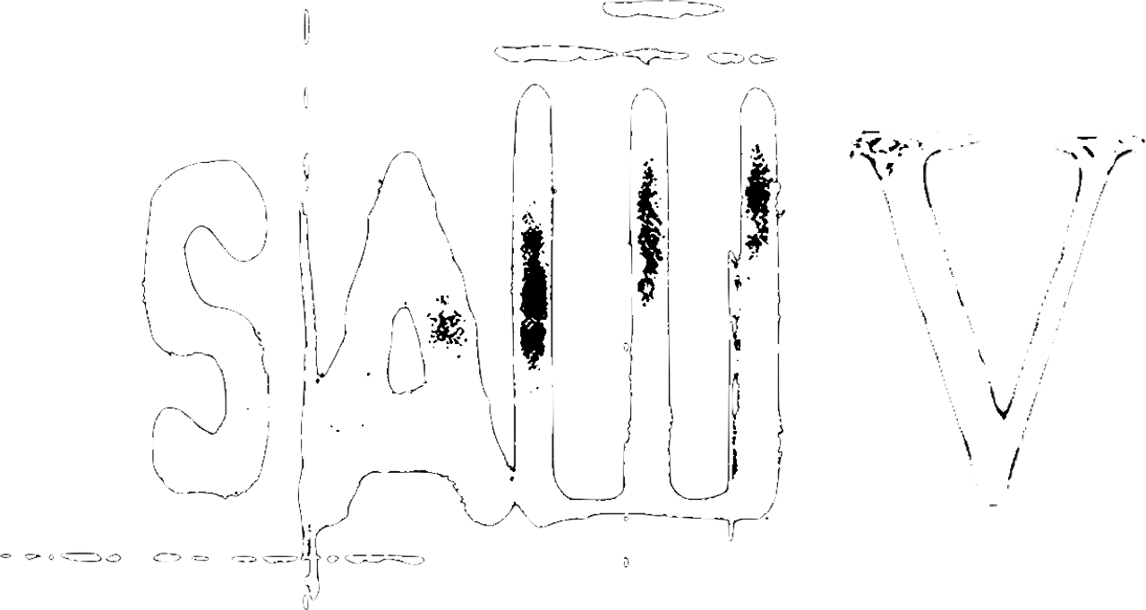 Saw V