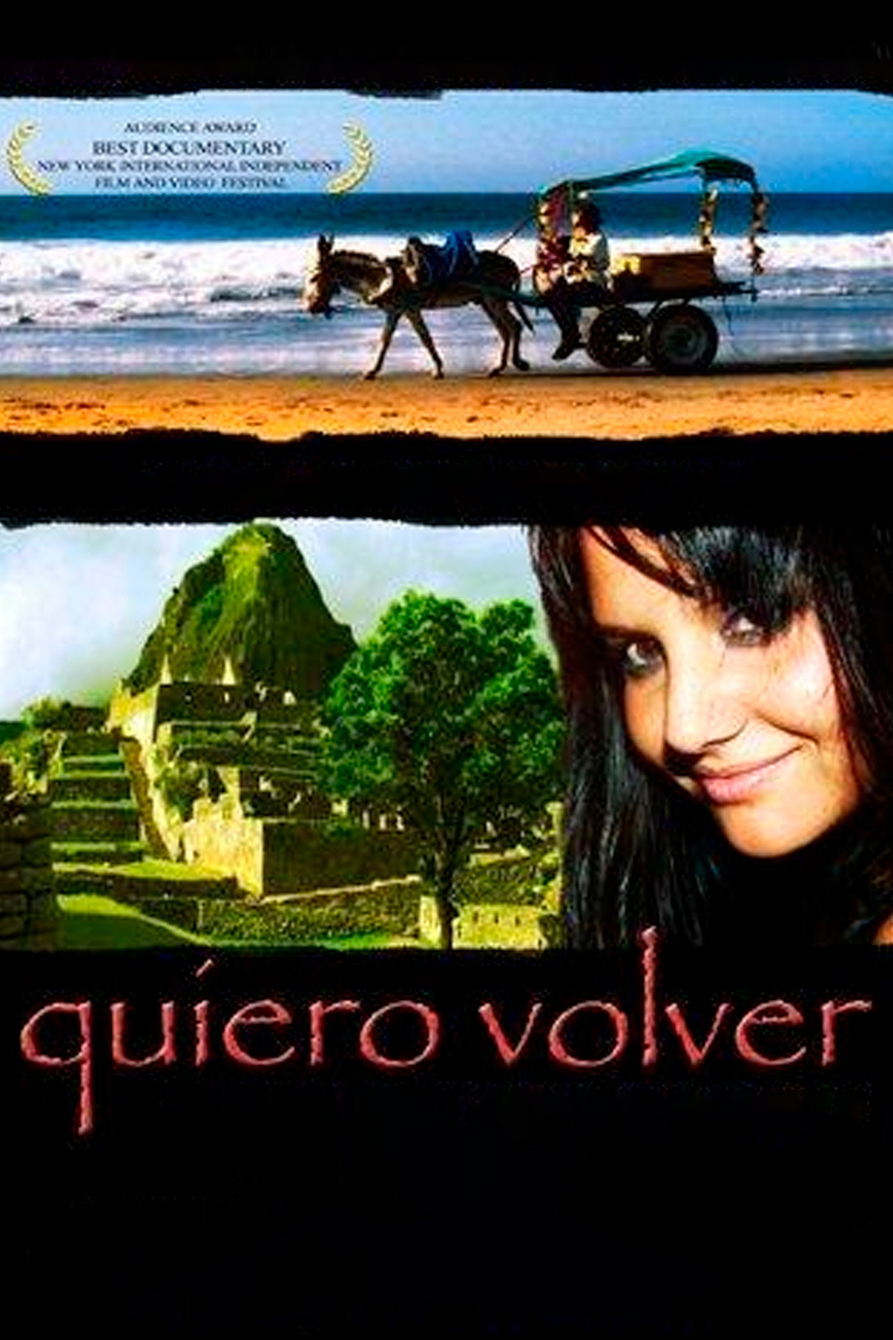 Quiero volver filmaffisch