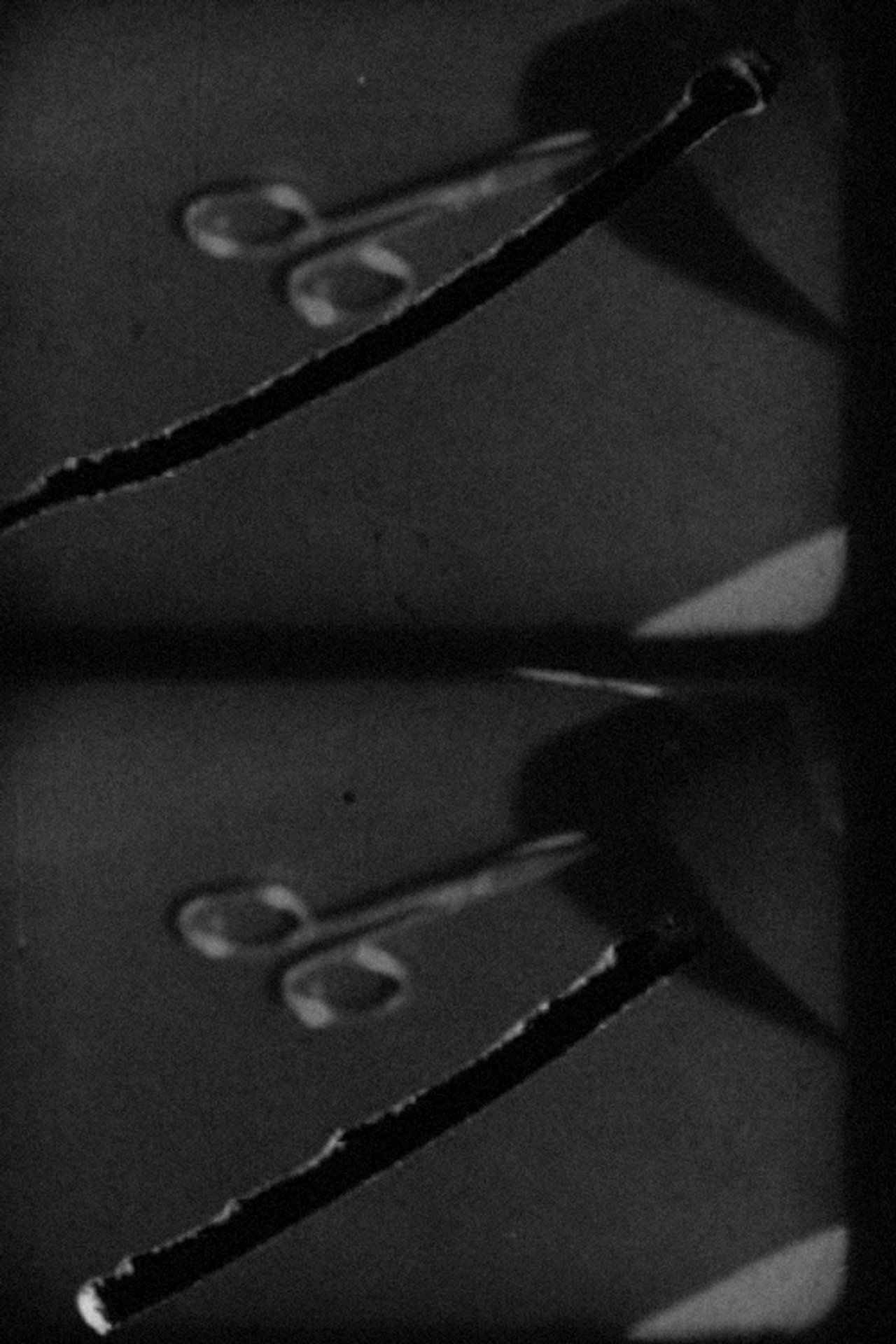 Schnippschnapp filmaffisch