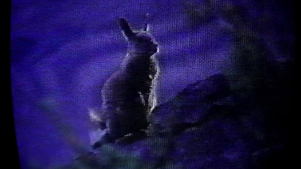 2001 Events backdrop