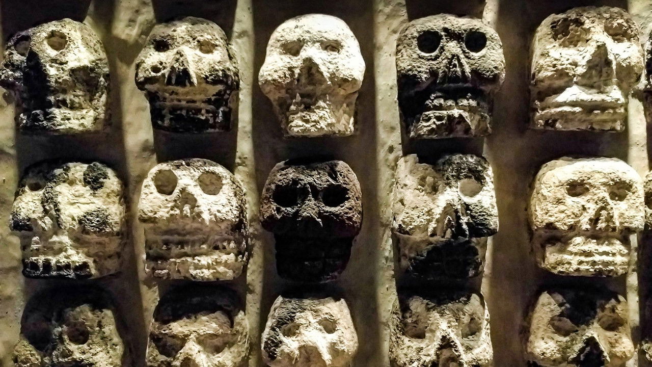 Secrets in the Dark — Épisode 2