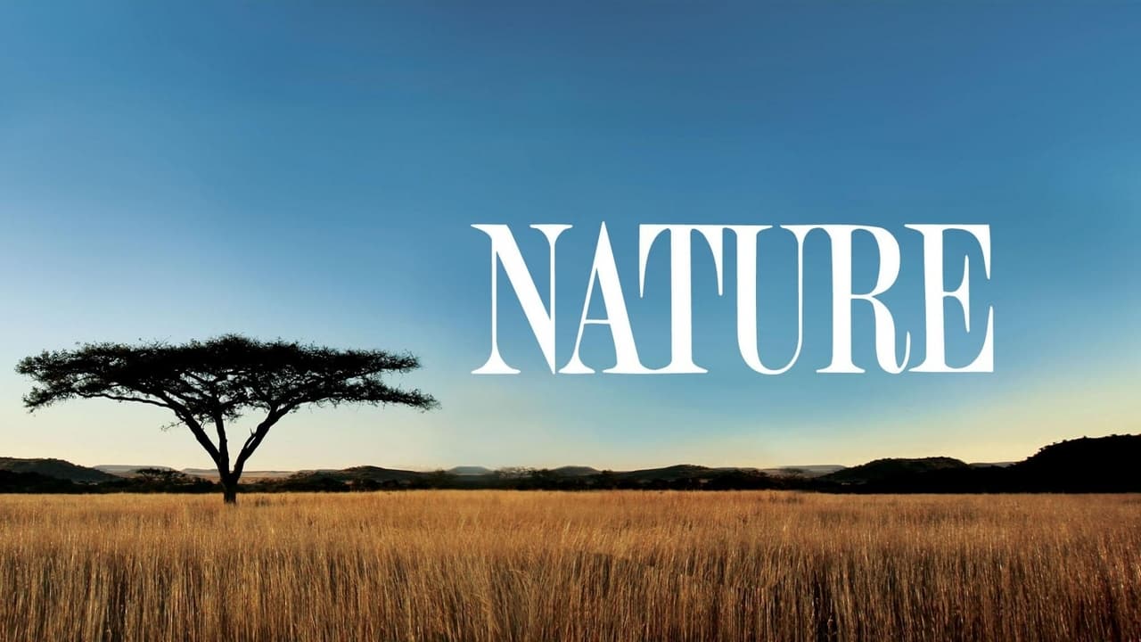 Nature - Season 4 Episode 8 : Emas: High Plains of Brazil