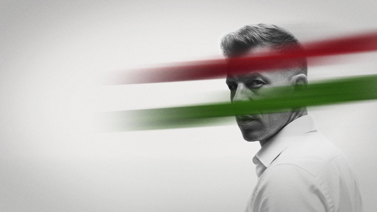 Spring Wind backdrop