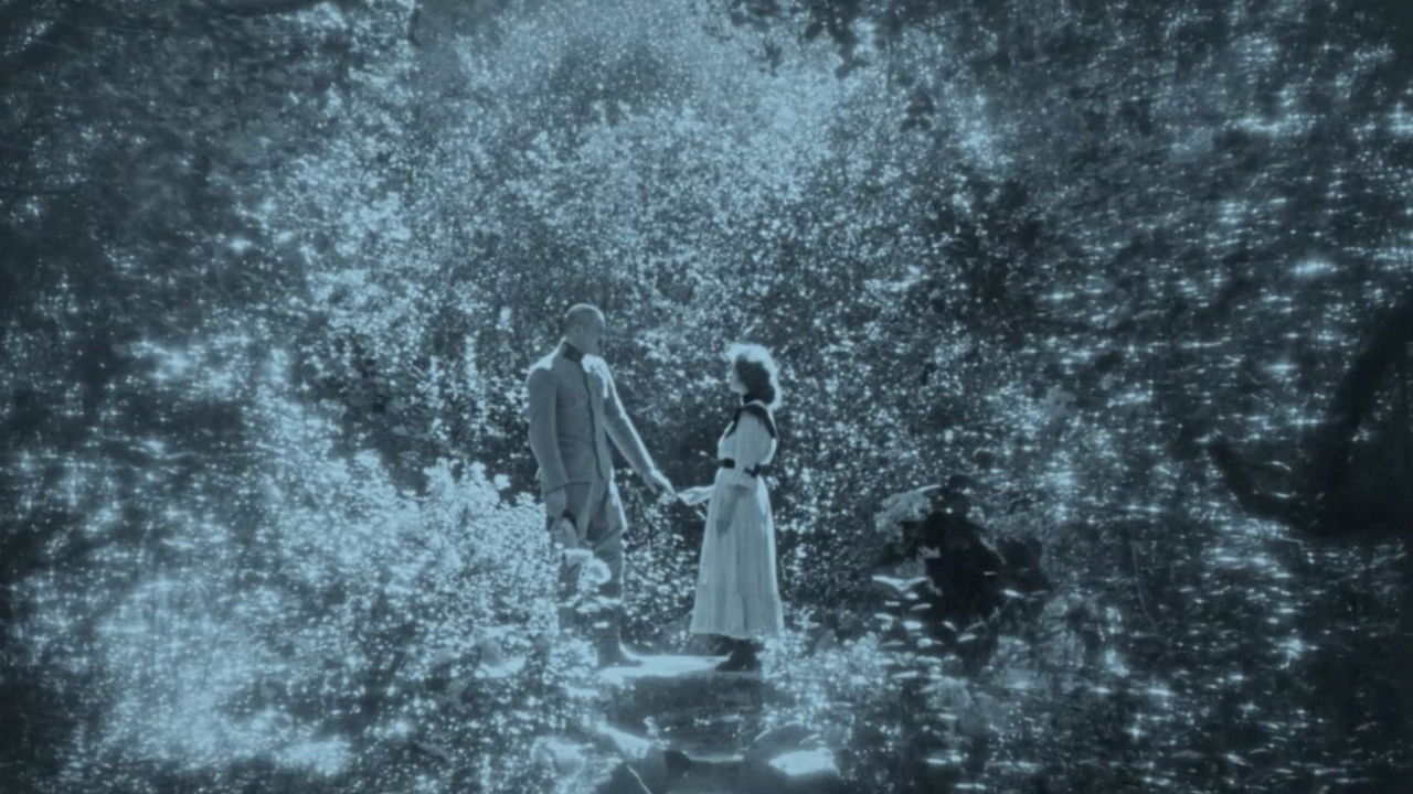 Merry-Go-Round backdrop