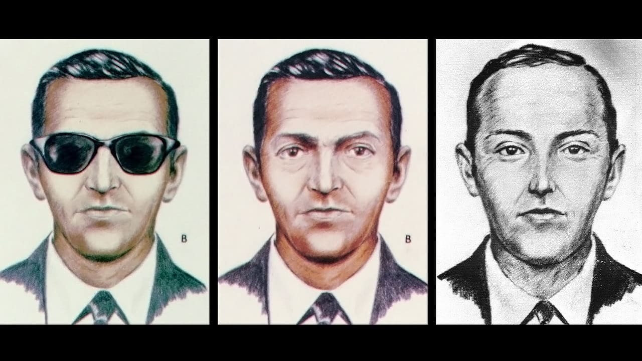 Die Akte D.B. Cooper background