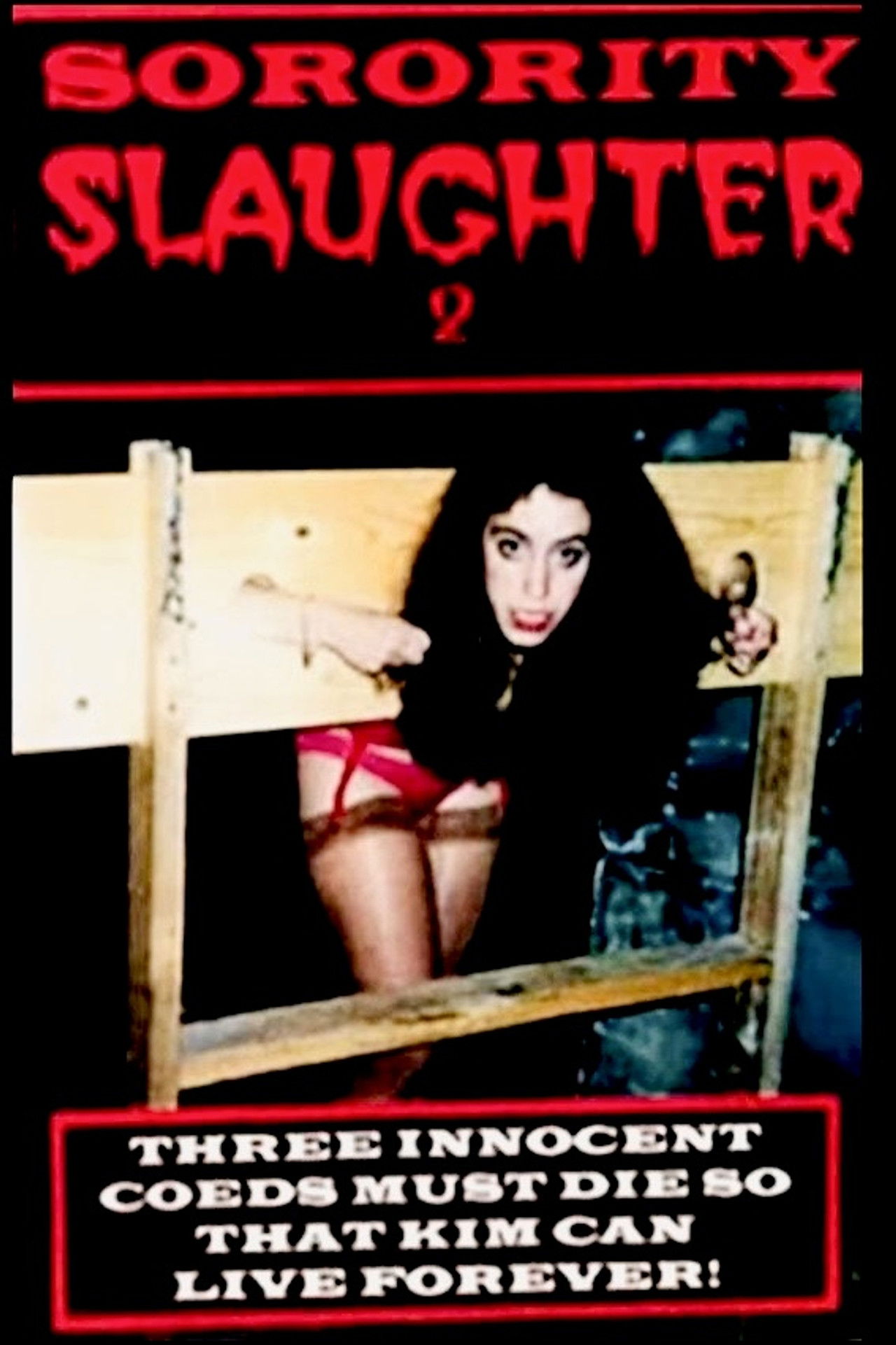 Sorority Slaughter 2 poster