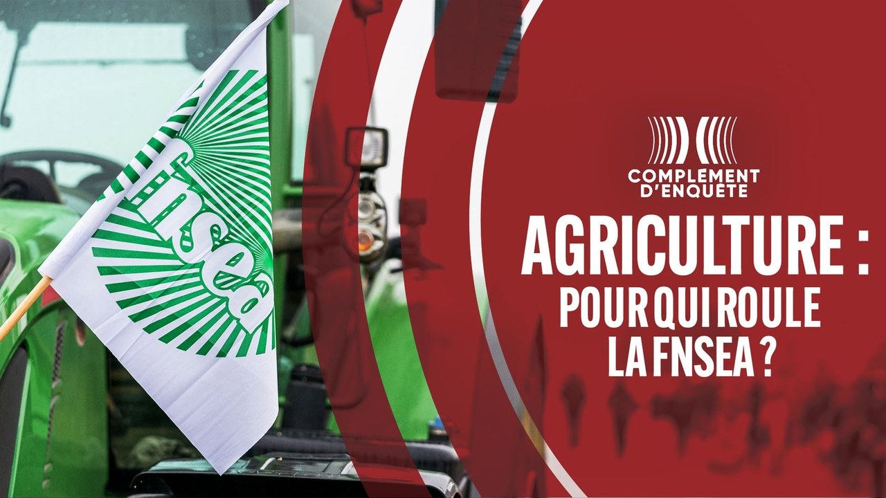 Complément d'enquête - Season 23 Episode 31 : Episode 31