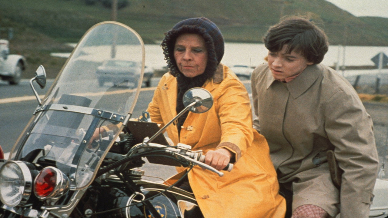 Обои к фильму «Гарольд и Мод (1971)» — (21 из 55)